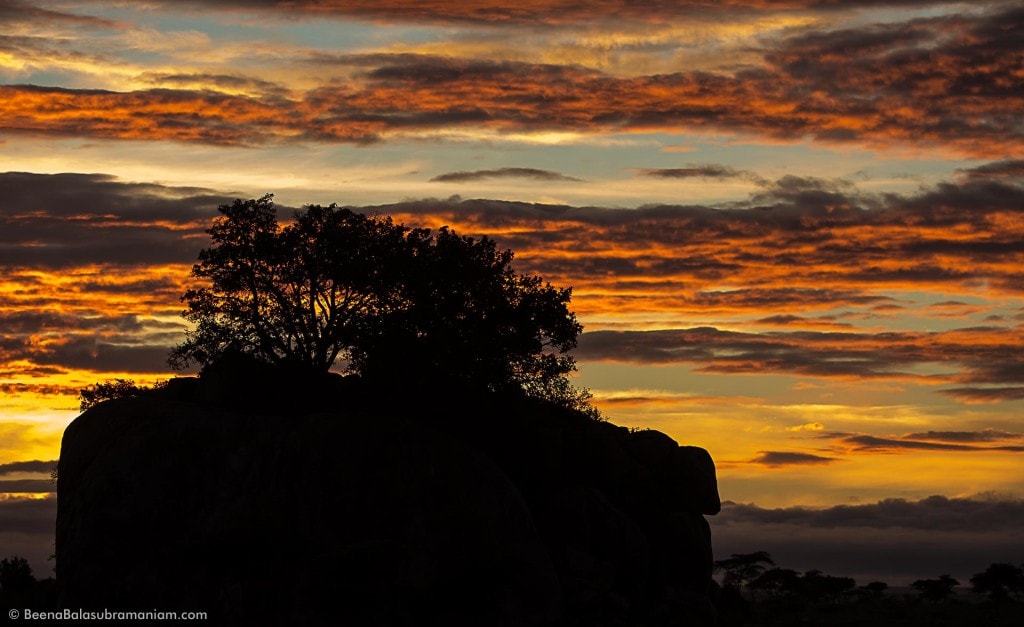 Sunset amidst the Kopjes of Tanzania