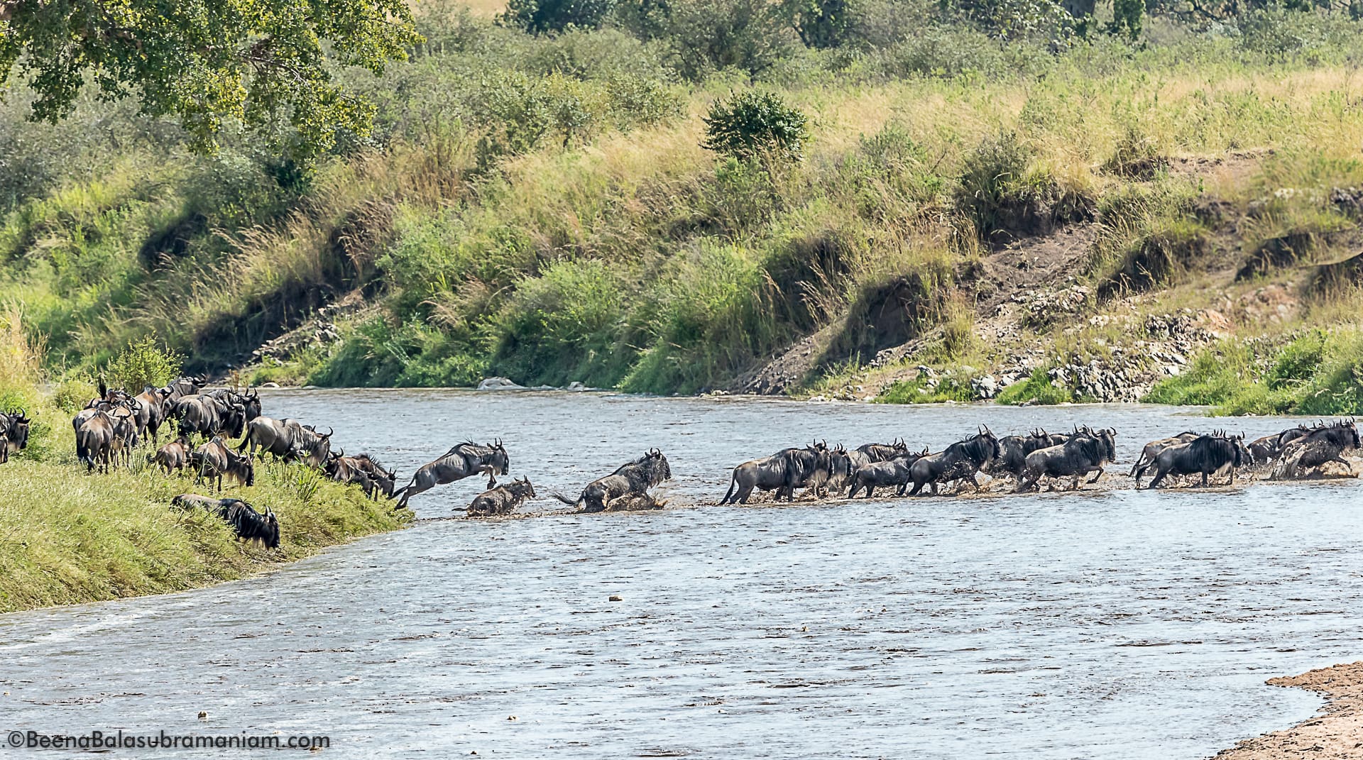 wild angle view of the crossing